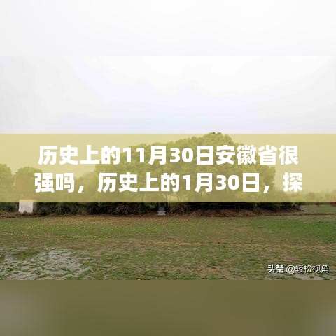 第1724页