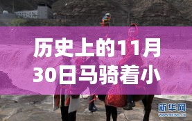 案例 第304页