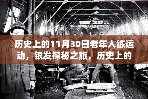 动态 第338页