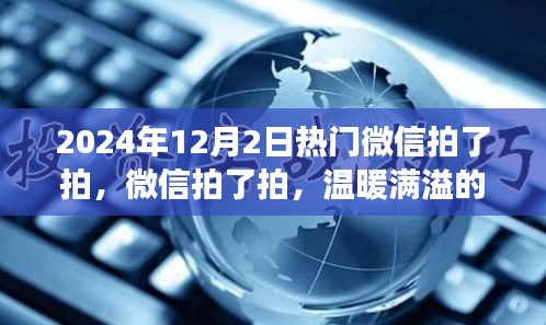 微信拍了拍，温暖满溢的日子——2024年12月2日的小故事回顾