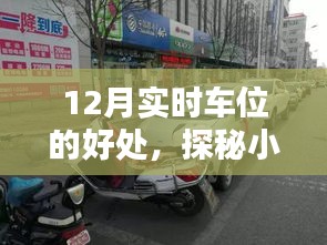 纲举目张 第4页