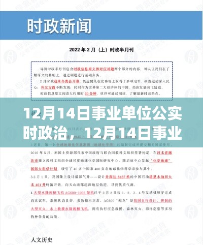 关于事业单位公实时政治的探析与观点分享，12月14日观察报告