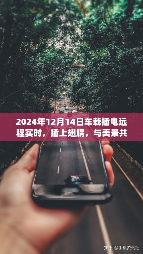 行将就木 第3页