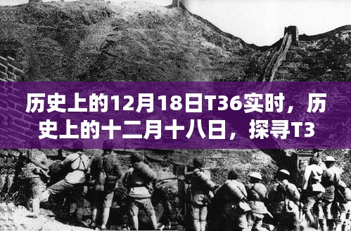 采椽不斫 第3页