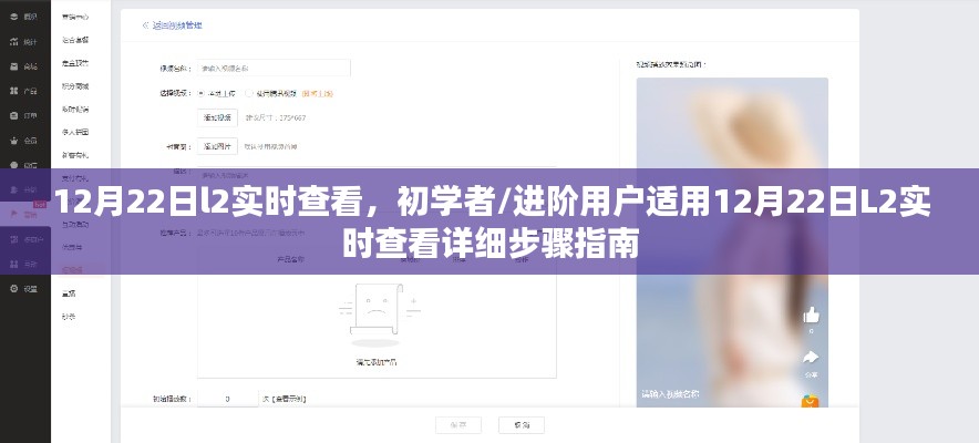 12月22日L2实时查看步骤指南，适合初学者与进阶用户的详细教程
