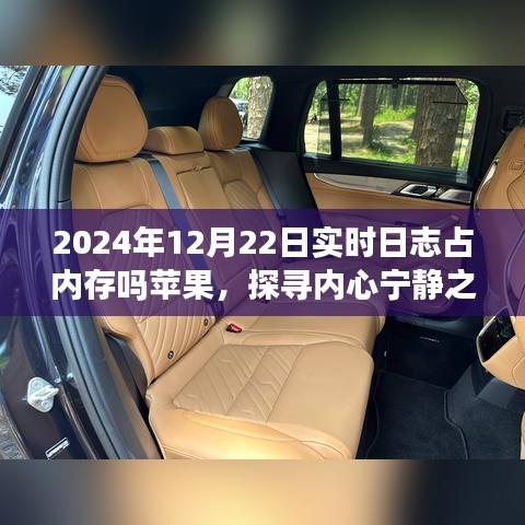 联系 第181页