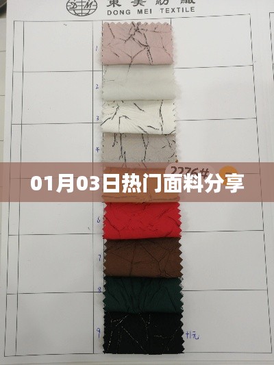 简介 第114页