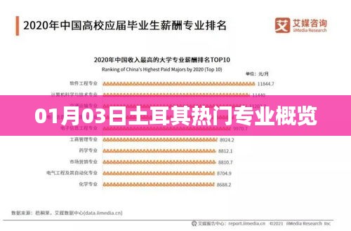 土耳其热门专业概览，最新动态与趋势分析