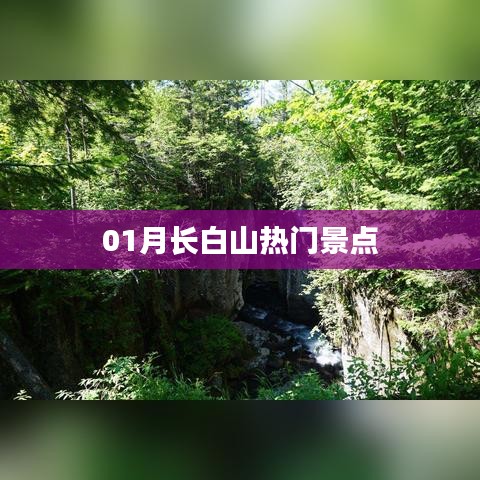 省吃细用 第2页