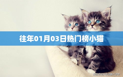一丝不苟 第2页