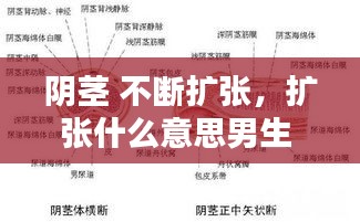仙风道骨 第2页