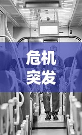 草创未就 第2页
