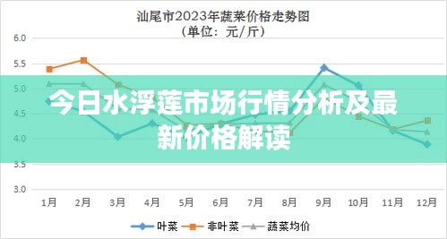 百鸟齐鸣 第2页