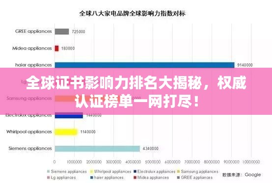 全球证书影响力排名大揭秘，权威认证榜单一网打尽！
