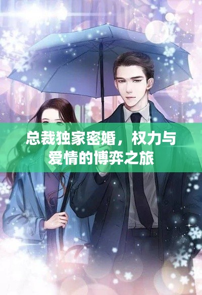 总裁独家密婚，权力与爱情的博弈之旅
