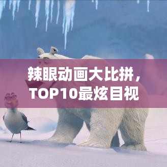 案例 第13页