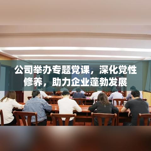 简介 第13页