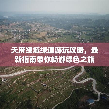 案例 第12页