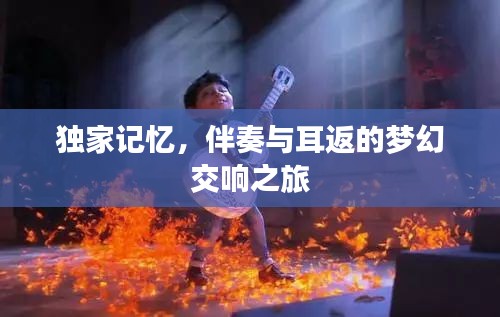 简介 第12页