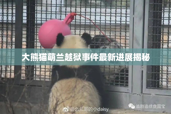 产品 第10页