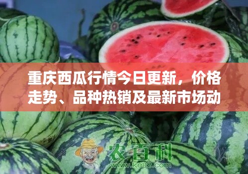联系 第9页