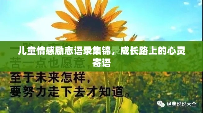 云龙井蛙