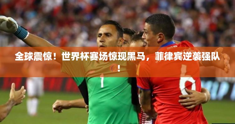 动态 第8页