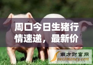 2025年5月25日