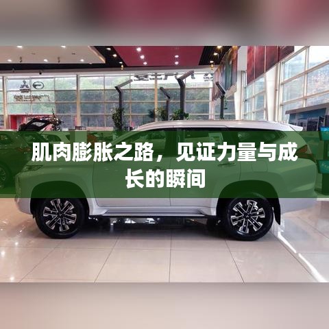 肌肉膨胀之路，见证力量与成长的瞬间