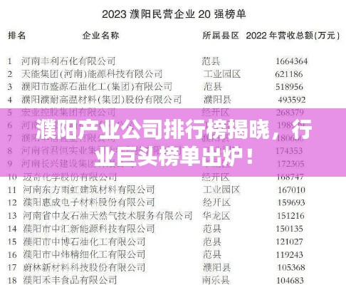 濮阳产业公司排行榜揭晓，行业巨头榜单出炉！