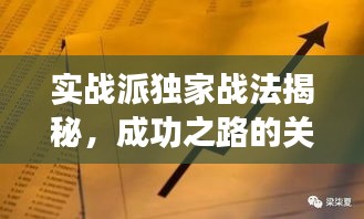 实战派独家战法揭秘，成功之路的关键要素探索