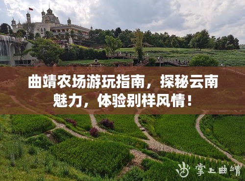 曲靖农场游玩指南，探秘云南魅力，体验别样风情！