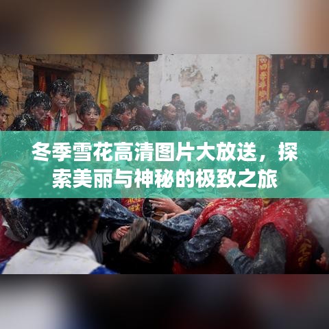 冬季雪花高清图片大放送，探索美丽与神秘的极致之旅