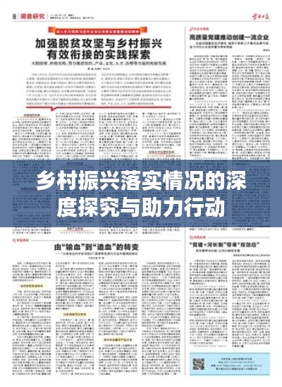 乡村振兴落实情况的深度探究与助力行动