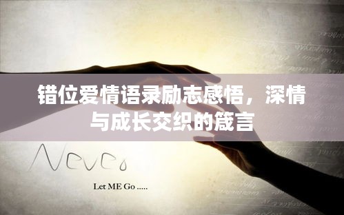 错位爱情语录励志感悟，深情与成长交织的箴言