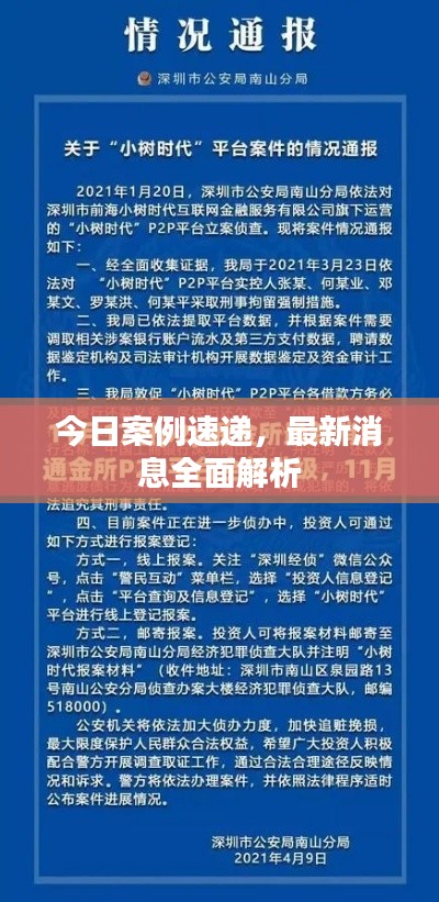 今日案例速递，最新消息全面解析