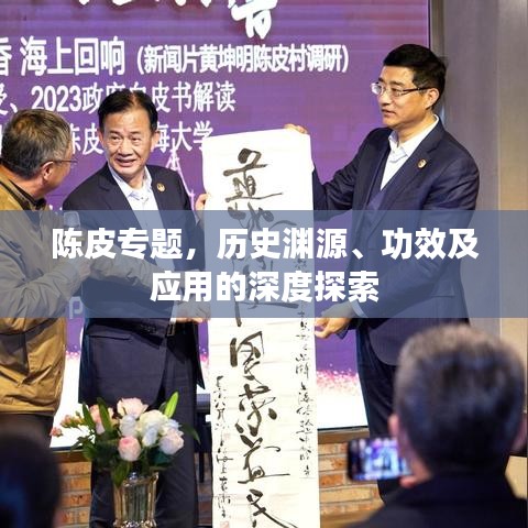 陈皮专题，历史渊源、功效及应用的深度探索