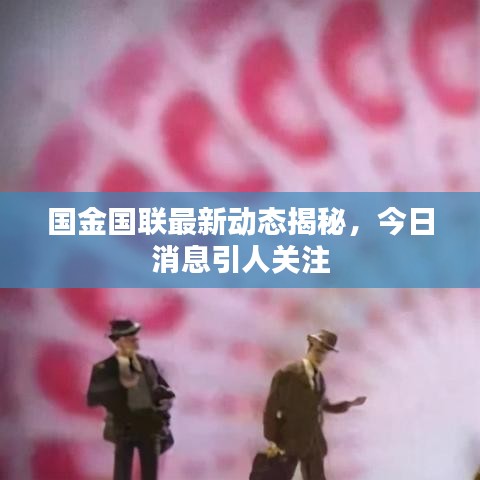 国金国联最新动态揭秘，今日消息引人关注