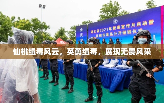 仙桃缉毒风云，英勇缉毒，展现无畏风采