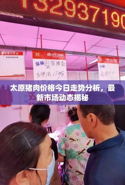 太原猪肉价格今日走势分析，最新市场动态揭秘