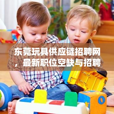 东莞玩具供应链招聘网，最新职位空缺与招聘动态速递