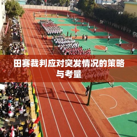 田赛裁判应对突发情况的策略与考量