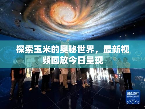 探索玉米的奥秘世界，最新视频回放今日呈现