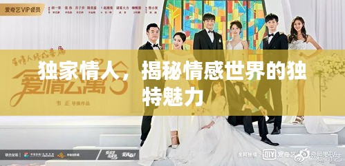 独家情人，揭秘情感世界的独特魅力