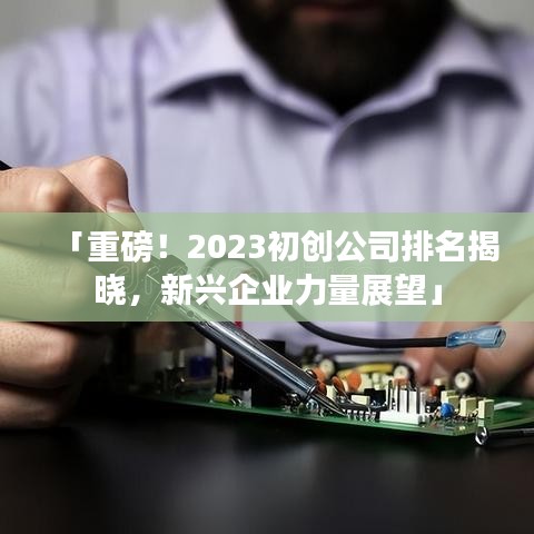 「重磅！2023初创公司排名揭晓，新兴企业力量展望」