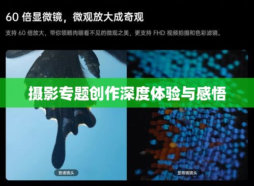 摄影专题创作深度体验与感悟